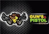 game pic for Guns  Pistol Sound